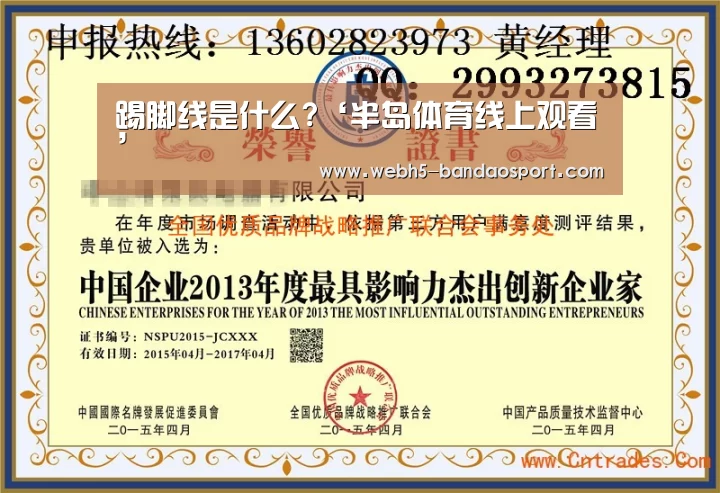 踢脚线是什么?‘半岛体育线上观看’(图1) 半岛体育体育娱乐