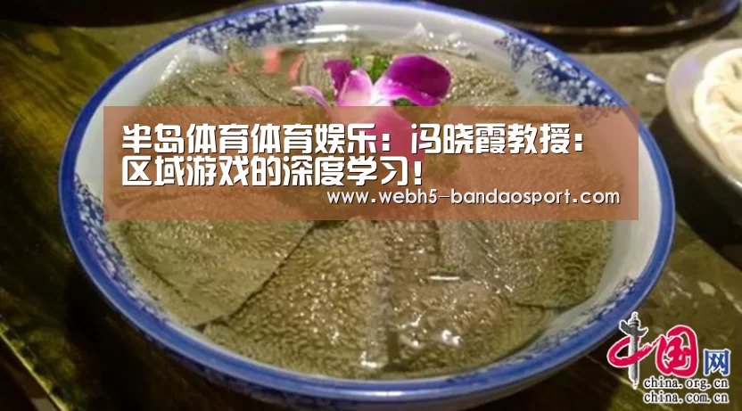 半岛体育体育娱乐:冯晓霞教授:区域游戏的深度学习!(图2) 半岛体育体育网