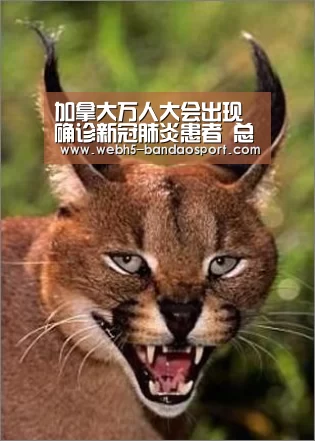 加拿大万人大会出现确诊新冠肺炎患者 总理特鲁多曾出席讲话【半岛体育下载】(图1) 半岛体育体育娱乐